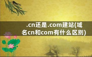 .cn还是.com建站(域名cn和com有什么区别)