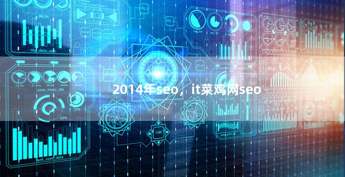 2014年seo，it菜鸡网seo