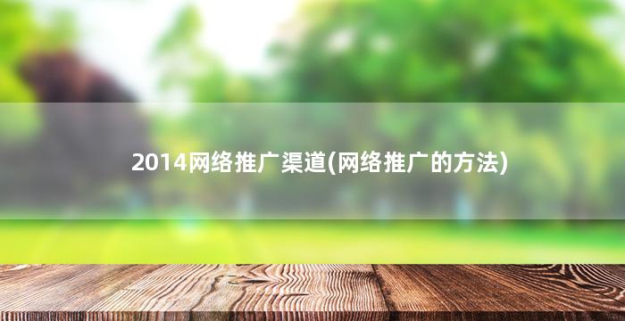 2014网络推广渠道(网络推广的方法)