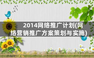 2014网络推广计划(网络营销推广方案策划与实施)