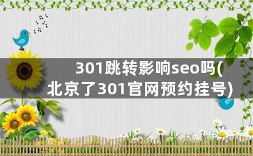 301跳转影响seo吗(北京了301官网预约挂号)