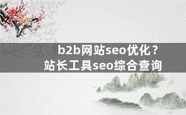 b2b网站seo优化？站长工具seo综合查询