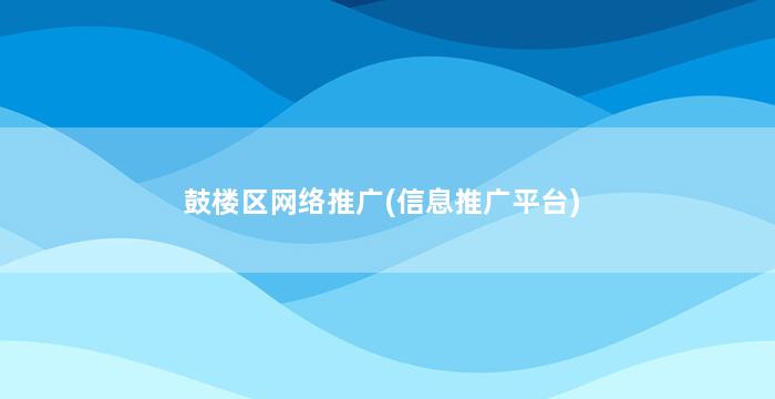 鼓楼区网络推广(信息推广平台)