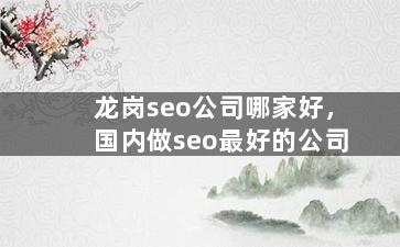 龙岗seo公司哪家好，国内做seo最好的公司
