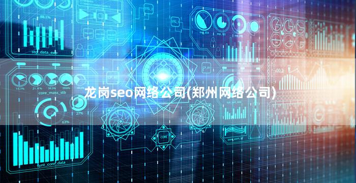 龙岗seo网络公司(郑州网络公司)