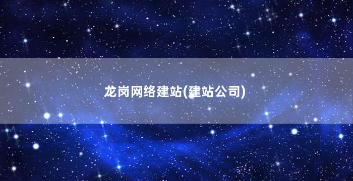 龙岗网络建站(建站公司)
