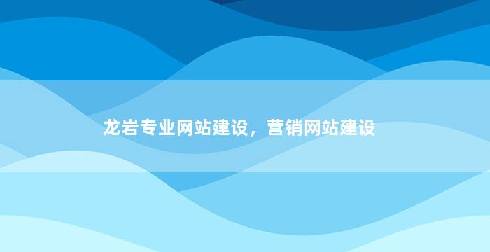 龙岩专业网站建设，营销网站建设