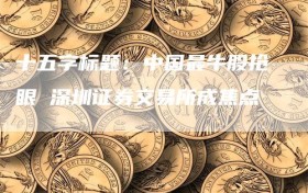 十五字标题：中国最牛股抢眼 深圳证券交易所成焦点