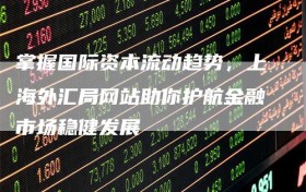 掌握国际资本流动趋势，上海外汇局网站助你护航金融市场稳健发展