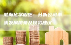 渤海化学股吧：分析公司未来发展前景及投资建议