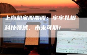 上海凯宝股票股：牢牢扎根科技领域，未来可期！