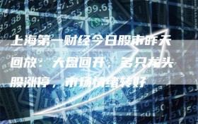 上海第一财经今日股市昨天回放：大盘回升，多只龙头股涨停，市场情绪转好