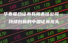 华泰联合证券有限责任公司：持续创新的中国证券龙头
