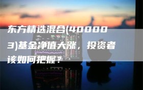 东方精选混合(400003)基金净值大涨，投资者该如何把握？