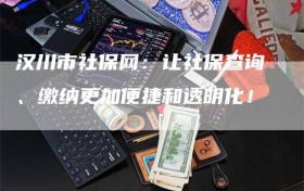 汉川市社保网：让社保查询、缴纳更加便捷和透明化！