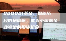 000001基金：揭秘历经市场磨砺，成为中国基金业翘楚的投资机会