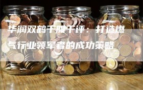 华润双鹤千股千评：打造燃气行业领军者的成功策略