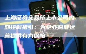 上海证券交易所上市公司内部控制指引：为企业稳健运营提供有力保障