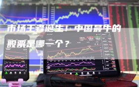 市场王者诞生！中国最牛的股票是哪一个？