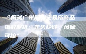 “揭秘广州期货交易所商品指数期货：走势稳健，风险可控”