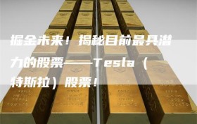 掘金未来！揭秘目前最具潜力的股票——Tesla（特斯拉）股票！
