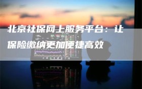 北京社保网上服务平台：让保险缴纳更加便捷高效