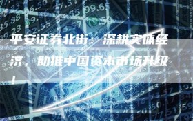 平安证券北街：深耕实体经济，助推中国资本市场升级！