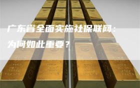 广东省全面实施社保联网：为何如此重要？