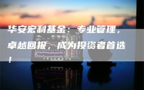 华安宏利基金：专业管理，卓越回报，成为投资者首选！