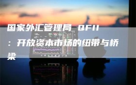国家外汇管理局 QFII：开放资本市场的纽带与桥梁