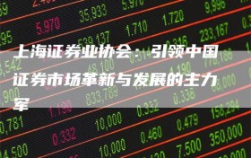 上海证券业协会：引领中国证券市场革新与发展的主力军