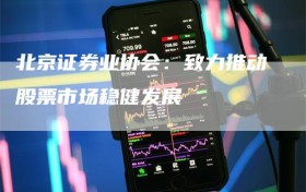 北京证券业协会：致力推动股票市场稳健发展