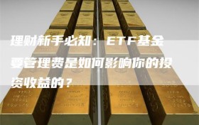 理财新手必知：ETF基金要管理费是如何影响你的投资收益的？
