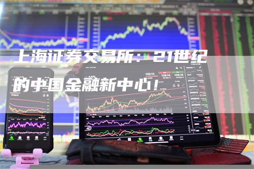 上海证券交易所：21世纪的中国金融新中心！