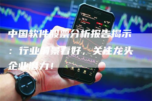中国软件股票分析报告揭示：行业前景看好，关注龙头企业潜力！