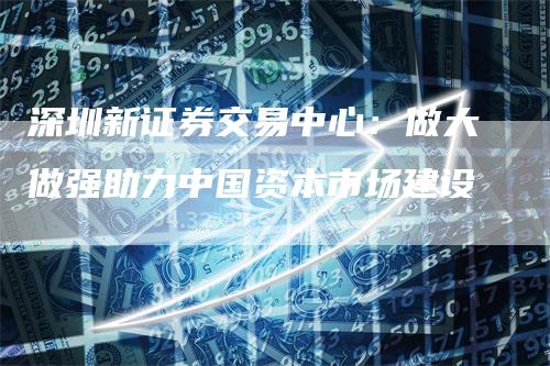 深圳新证券交易中心：做大做强助力中国资本市场建设