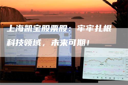 上海凯宝股票股：牢牢扎根科技领域，未来可期！