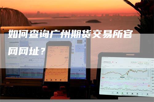 如何查询广州期货交易所官网网址？