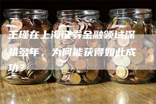 王瑾在上海证券金融领域深耕多年，为何能获得如此成功？