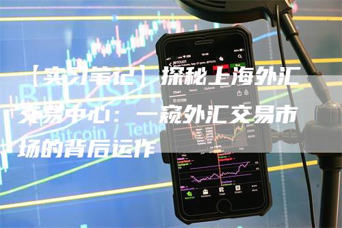 【实习笔记】探秘上海外汇交易中心：一窥外汇交易市场的背后运作