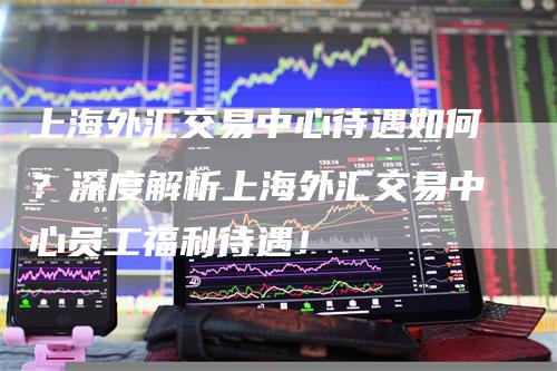 上海外汇交易中心待遇如何？深度解析上海外汇交易中心员工福利待遇！